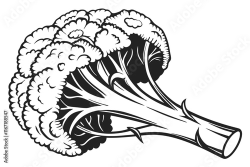 a black silhouette image cauliflower vector illustration white background E.eps
