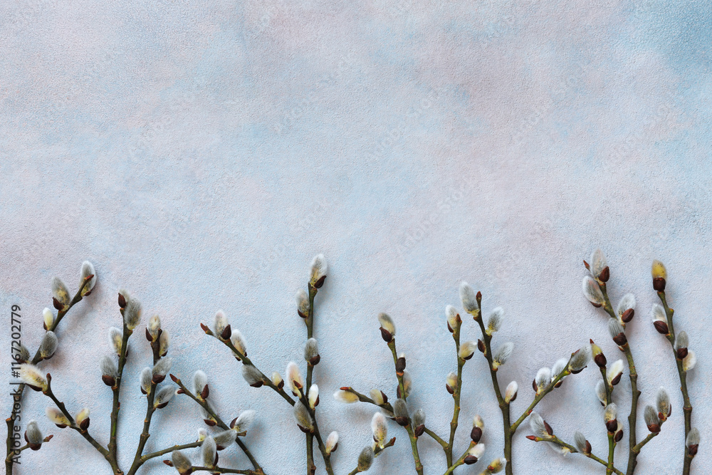 Obraz premium Decorative background with willow branches, copy space. Easter, Palm Sunday