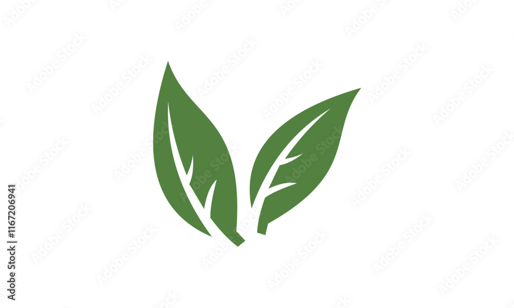green leaves isolated on white background green leaves isolated on white background