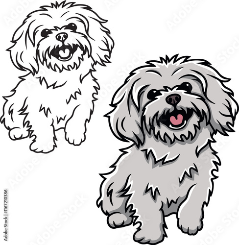 Maltese puppy dog vector