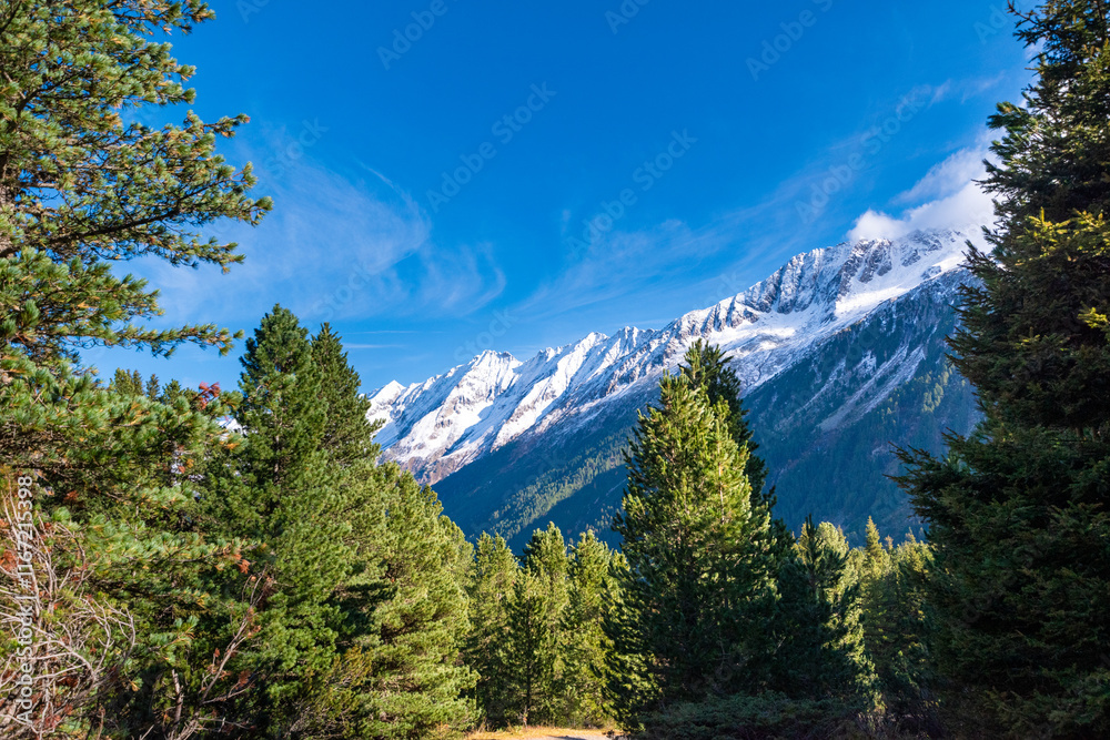 Fototapeta premium alpine valley with snowy mountains in the Krimmler Achental, Austria