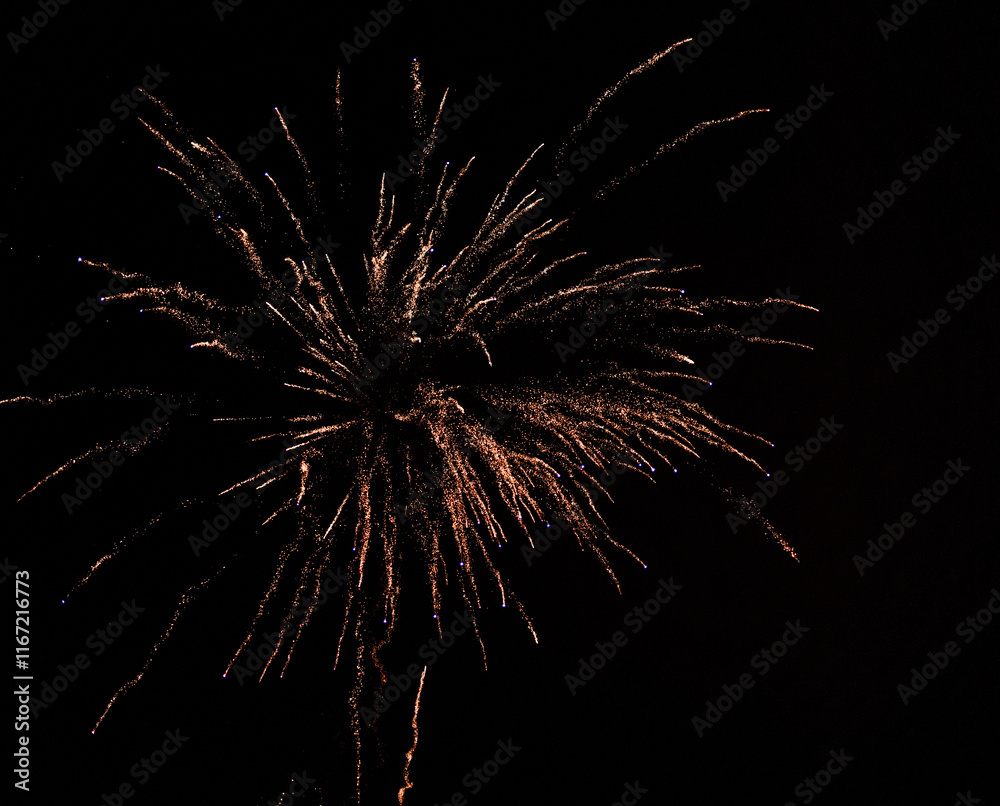 Obraz premium Stunning fireworks display during the 2025 New Year celebrations captured in vivid detail. A vibrant explosion of light and color lighting up the night sky.