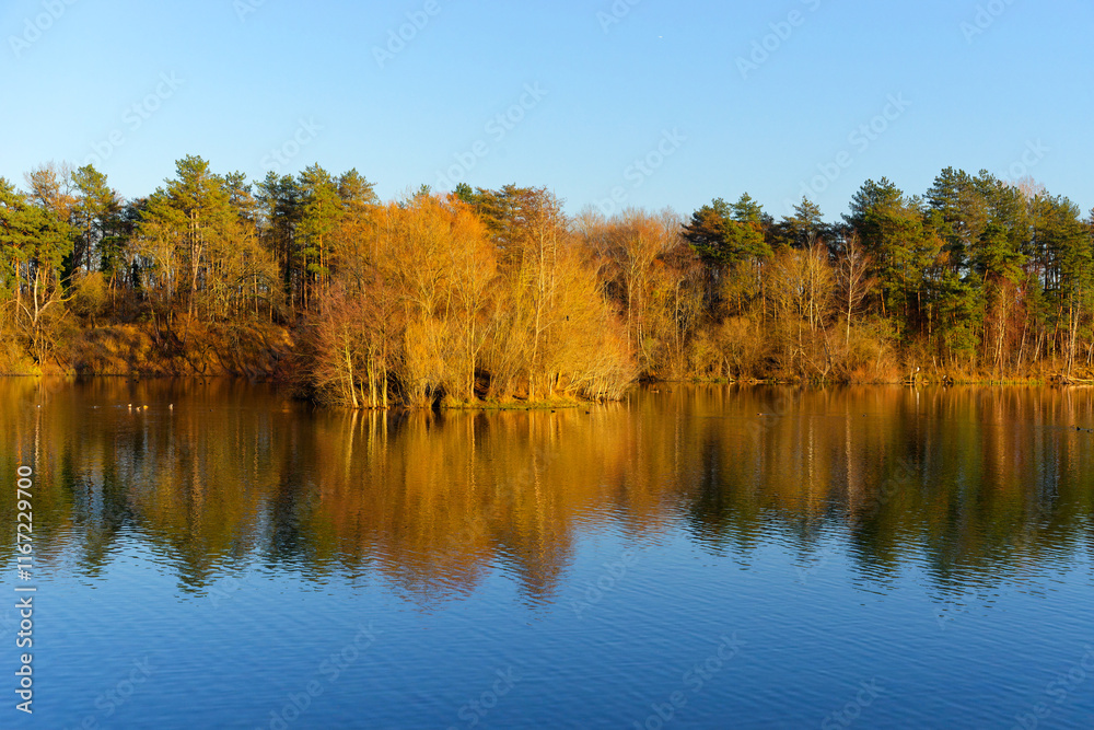Pond in the Sorques plain sensitive natural area. French Gâtinais Regional Nature Park Pond in the Sorques plain sensitive natural area. French Gâtinais Regional Nature Park