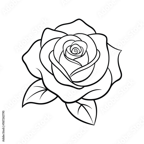 rose line art vector illustration