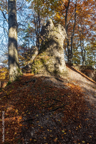 Autumn forest with trail covered by falen leaves and small rock formations in Sulovske skaly mountains in Slovakia photo