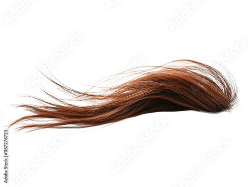 Auburn Hair, Isolated on White Background photo