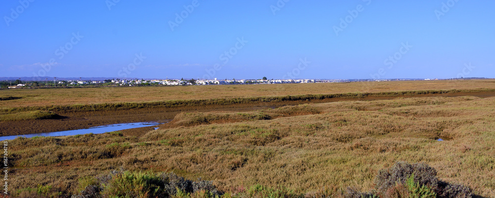 Fototapeta premium panorama santa luzia from the barril train algarve portugal