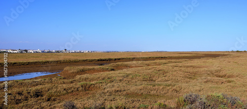 panorama santa luzia from the barril train algarve portugal