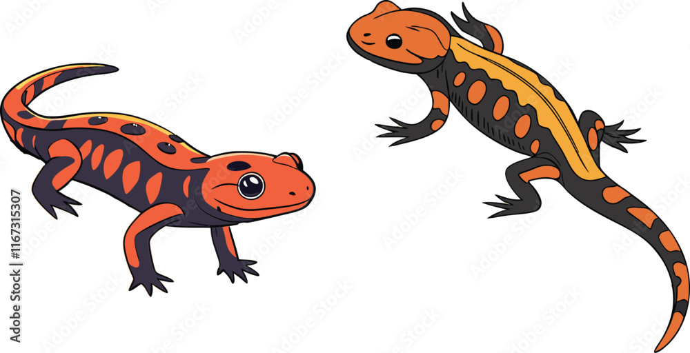 Obraz premium Salamander bundle design art and illustrator eps