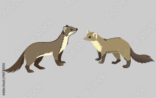Marten bundle art and illustrator eps