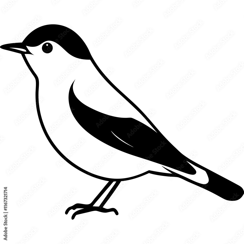 Obraz premium bird on a branch