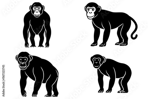 chimpanzees design silhouette vector illustration photo