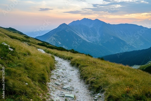 Photo of a green, grassy hill with a mountain path at sunset in the Tatra Mountains, Poland. North-east central Europe top of a high peak overlooking a beautiful valley and mountains during a summer