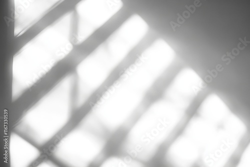 Shadows cast by a window adorn a white wall.