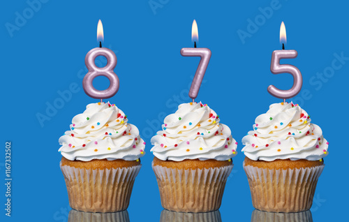 Birthday Cupcakes With Candles Lit Forming The Number 875