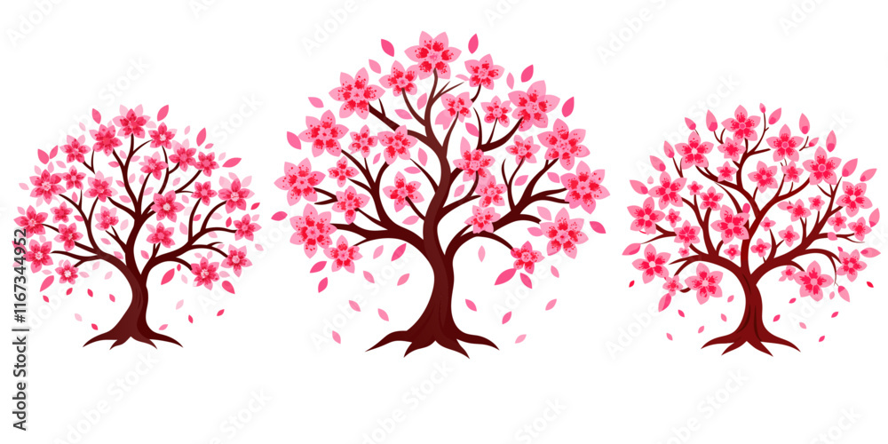 Fototapeta premium Cherry Blossom Tree on white background
