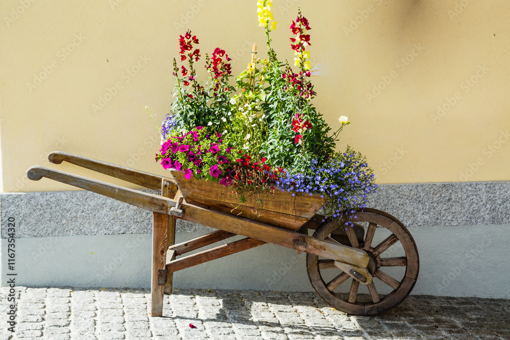 Wheelbarrow with flowers