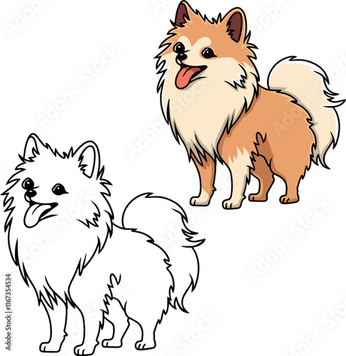 Pomeranian Spitz vector dog puppy