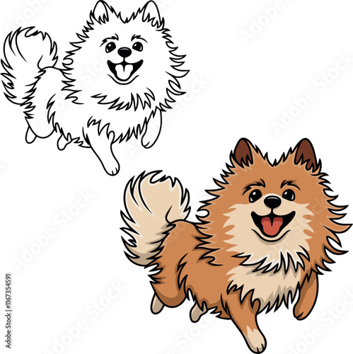 Pomeranian Spitz vector dog puppy