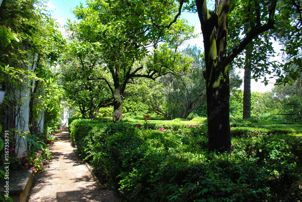 Green Garden with Walking Path Green Garden with Walking Path