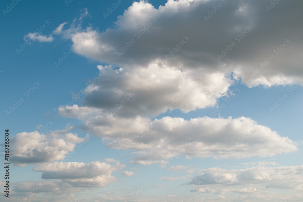 Obraz premium White clouds scattered across the blue sky. Landscape photography for design and print.