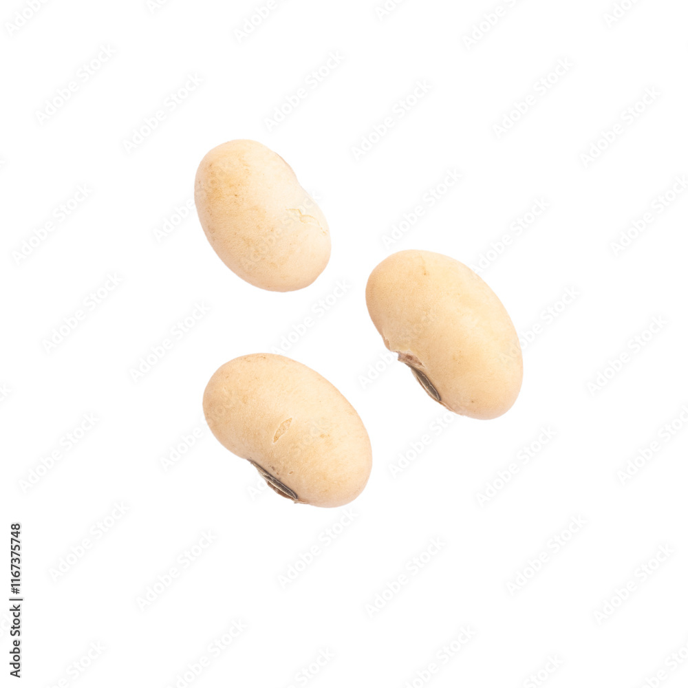 Three raw soybeans arranged on a white background. A simple and natural representation of healthy legumes. Three raw soybeans arranged on a white background. A simple and natural representation of healthy legumes.