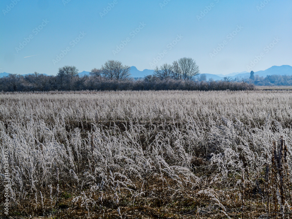 Winter landscape near Hohenbrunn in Germany. Winter landscape near Hohenbrunn in Germany.