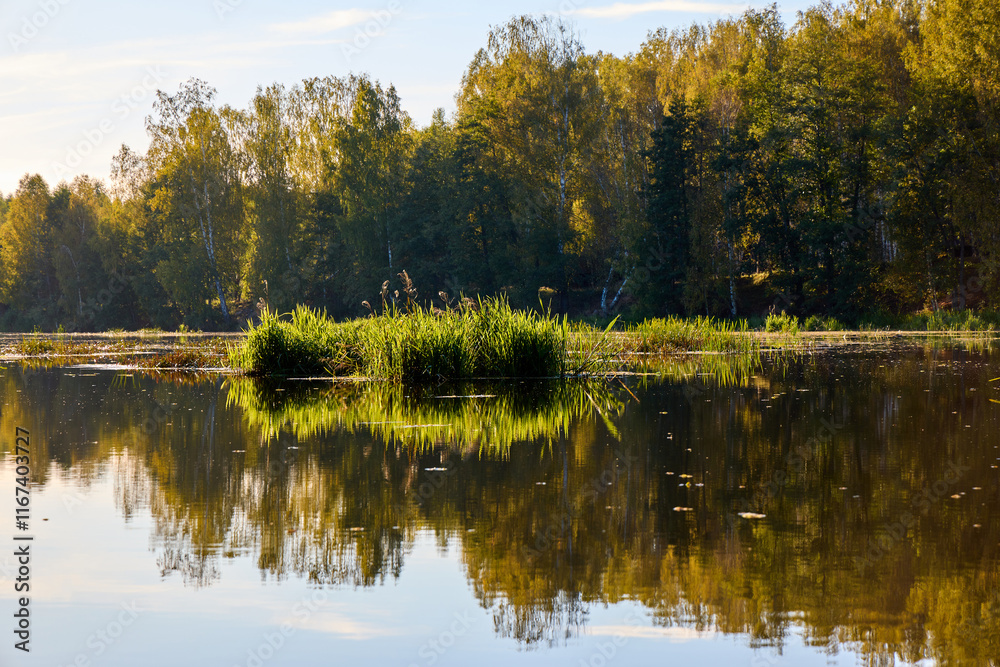 Obraz premium Serene Lake View with Lush Greenery and Clear Sky