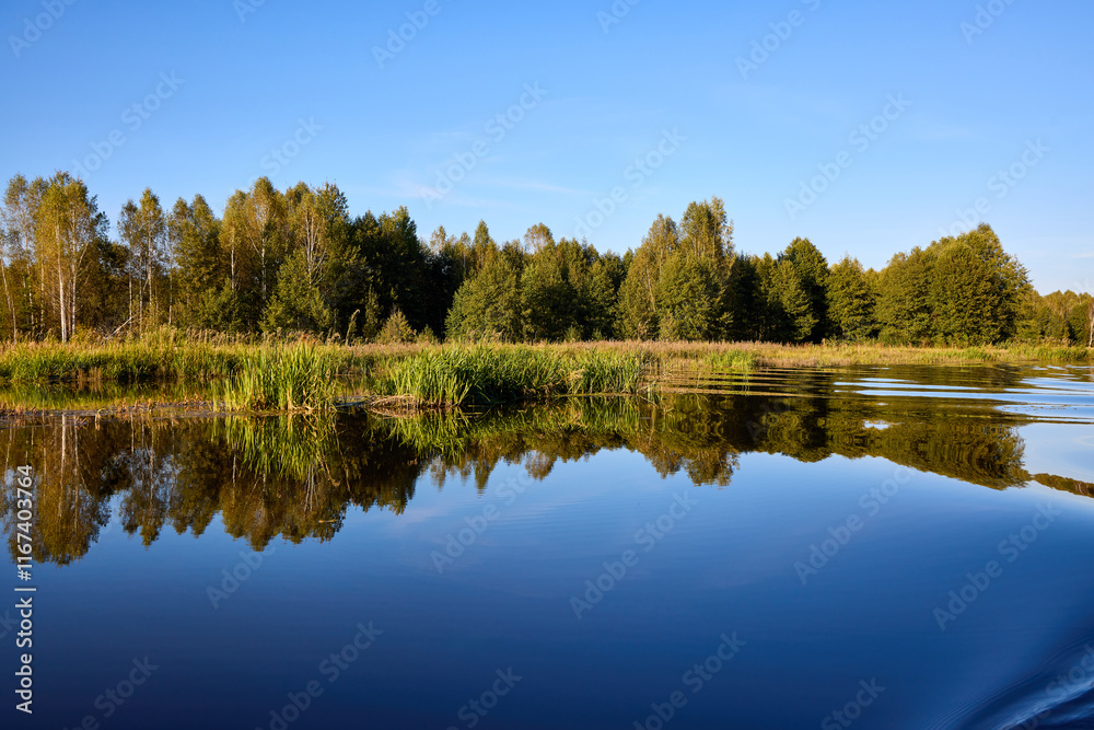 Serene Lake View with Lush Greenery and Clear Sky Serene Lake View with Lush Greenery and Clear Sky