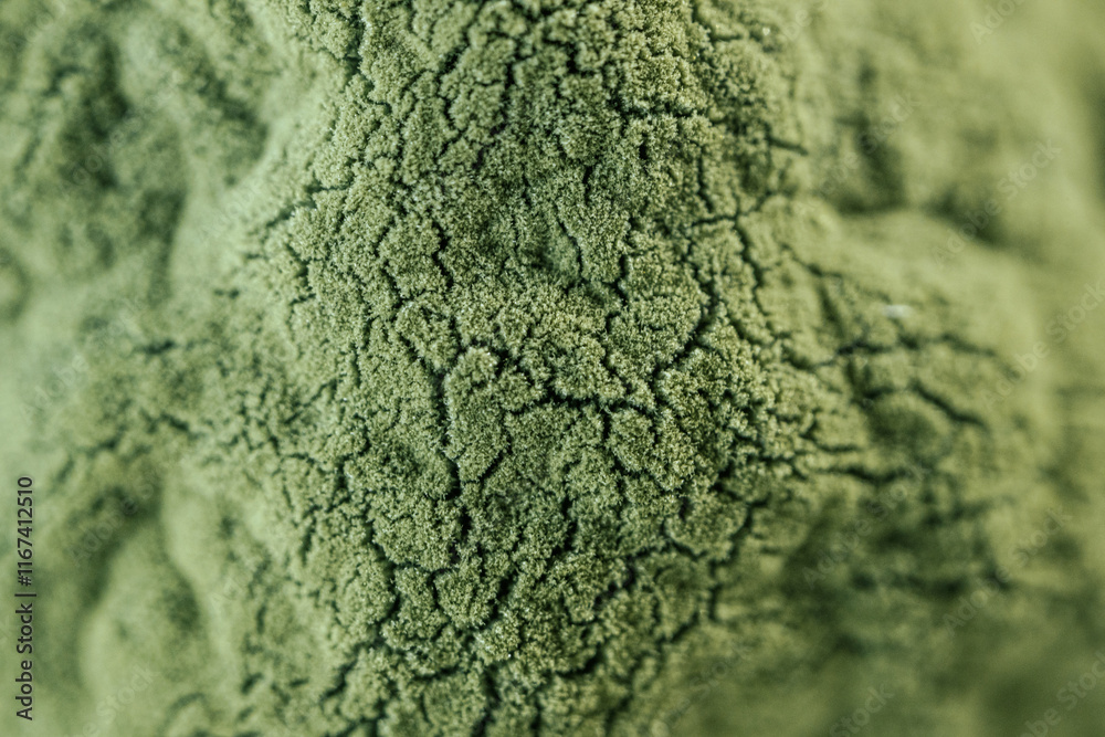 Obraz premium Detailed macro image of green mold spreading across a surface, showcasing the textured structure of fungal growth. Suitable for biology or environmental studies.