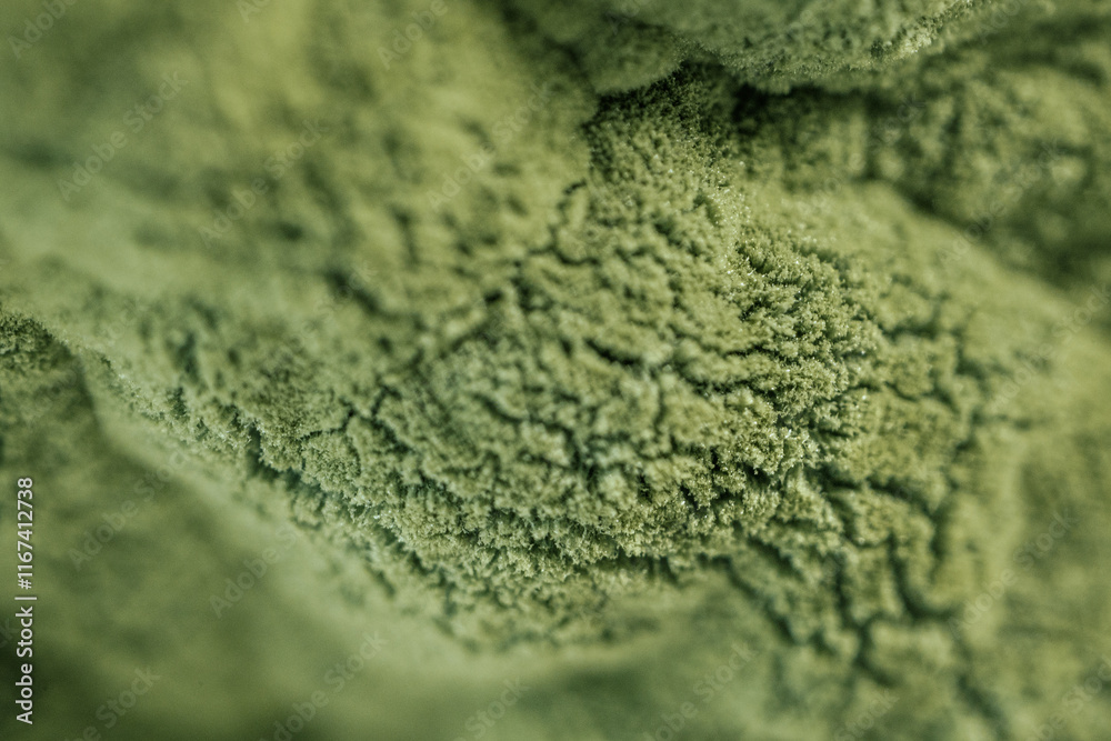 Obraz premium Detailed macro image of green mold spreading across a surface, showcasing the textured structure of fungal growth. Suitable for biology or environmental studies.