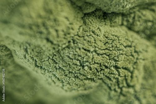 Detailed macro image of green mold spreading across a surface, showcasing the textured structure of fungal growth. Suitable for biology or environmental studies. photo