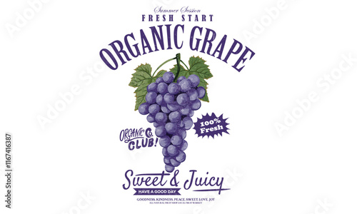 Fresh food artwork for for t shirt. Always organic. Summer food poster design. Grape fruit artwork. Fresh grapes fruit print. Nature watercolor design.