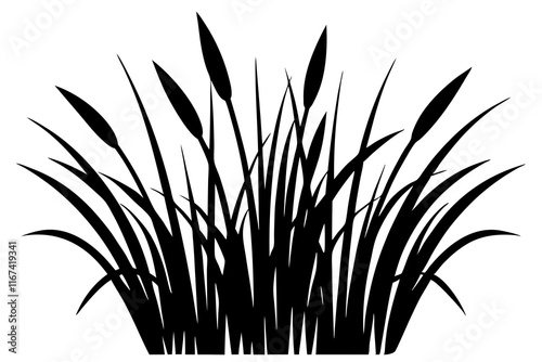 grass silhouette isolated on white