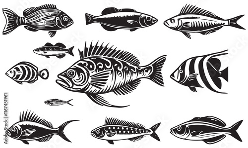 collection of fish