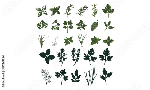 Herb and Spice Silhouettes Vector Set