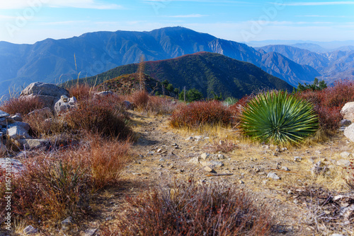 Rocky Hiking Trail with Desert Flora and Mountain Views