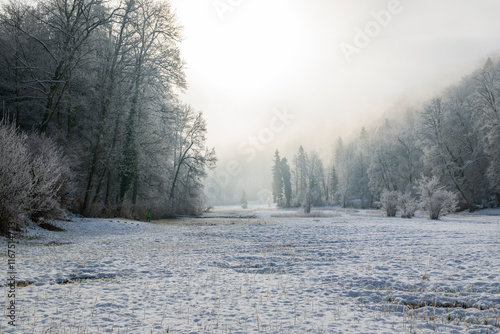 foggy winterlandscape with a frozen forest in switzerland