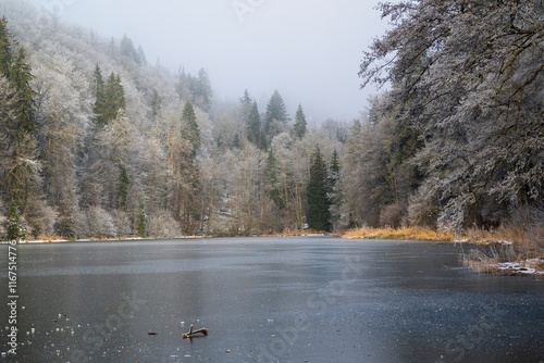 mystic forest with lake in a winter landscape hidden in Switzerland