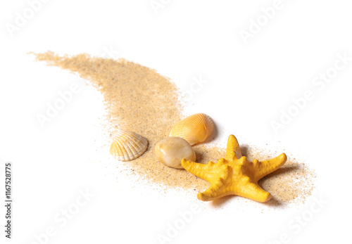 Composition with starfish, ...