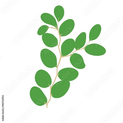 Wallpaper Mural Bidara leaves Torontodigital.ca