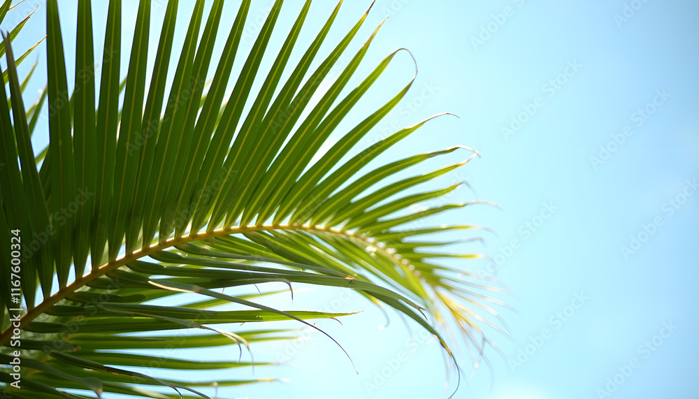 Palm leaf against a clear blue sky, tropical vibe, natural beauty, copy space Palm leaf against a clear blue sky, tropical vibe, natural beauty, copy space
