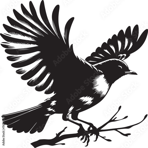  American Robin bird silhouette vector art illustration. American robin bird species vector design.