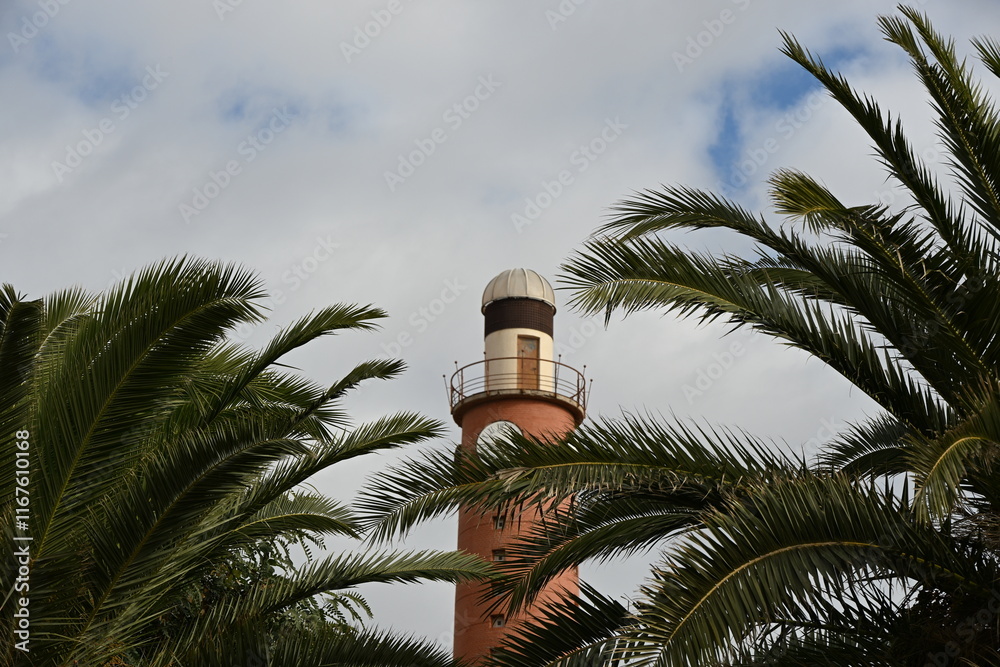 Fototapeta premium latarnia morska czerwona cegła palmy