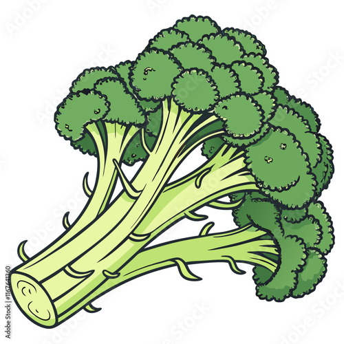 broccoli and cauliflower