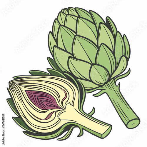 artichoke isolated on vector