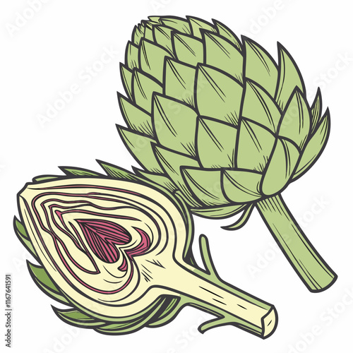 artichoke on a white background