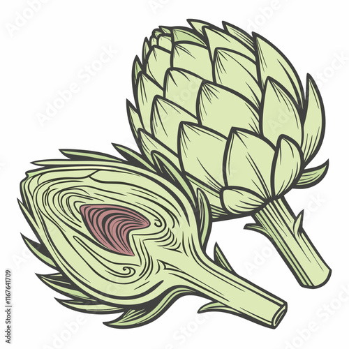 artichoke isolated on vector