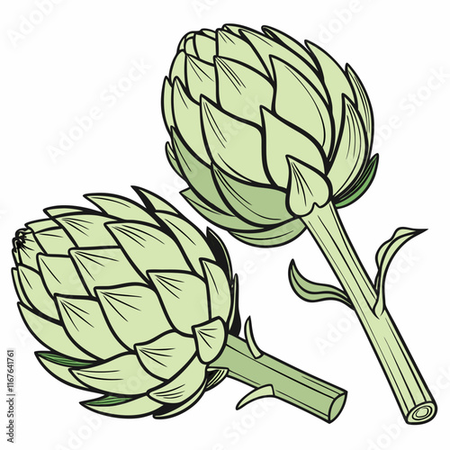 artichoke isolated on vector