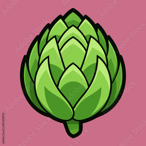 artichoke isolated on vector